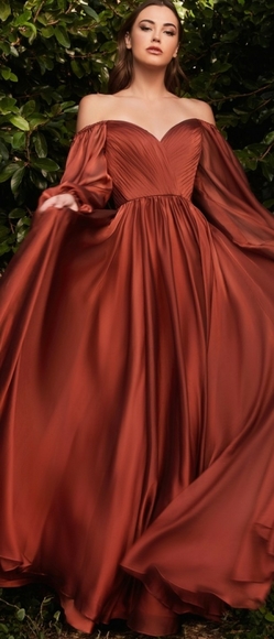 COPY - black,pink, champagne long sleeve a line chiffon gown - Picture 9 of 11